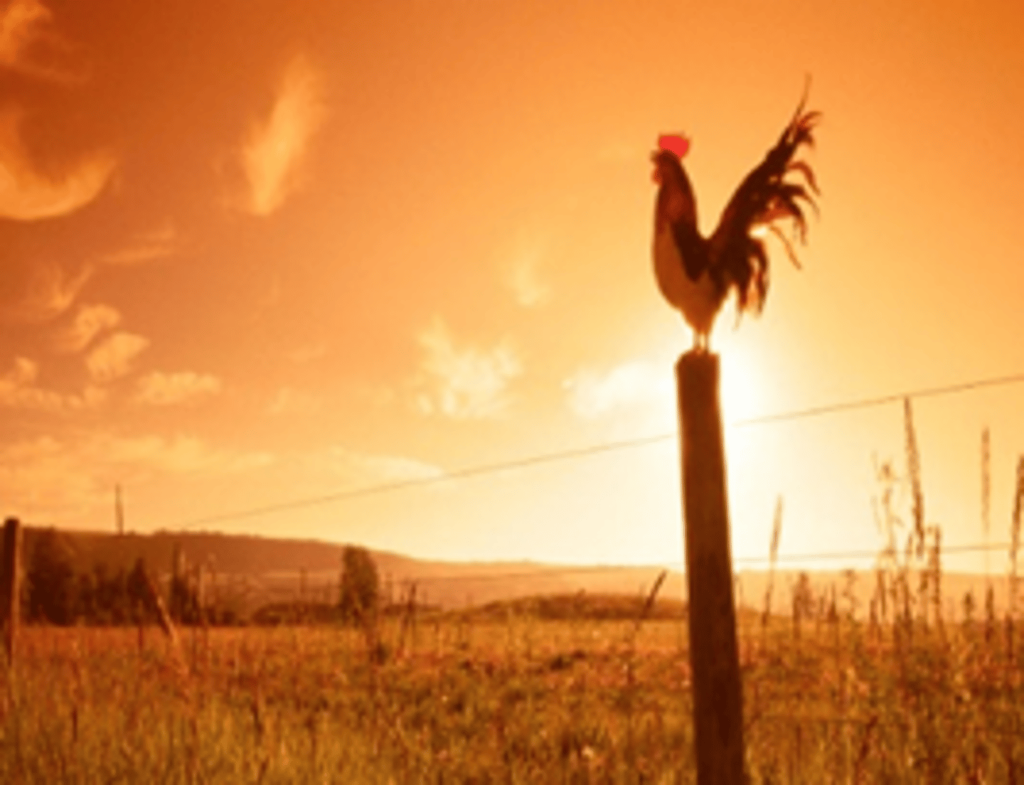 <p>in the morning</p>