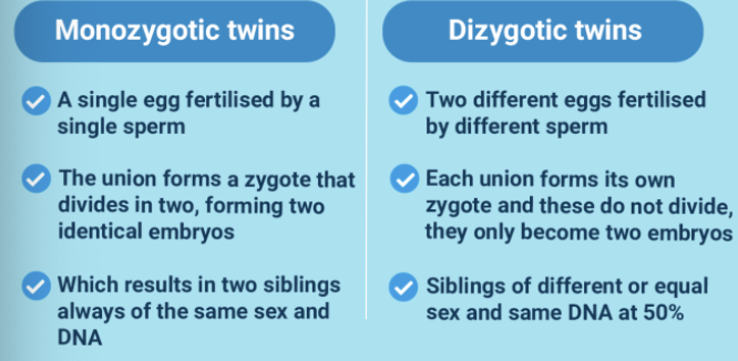 <ul><li><p>identical twins, whether raised together or apart, have very similar personalities </p></li><li><p>suggests heritability of some personality traits</p></li></ul>