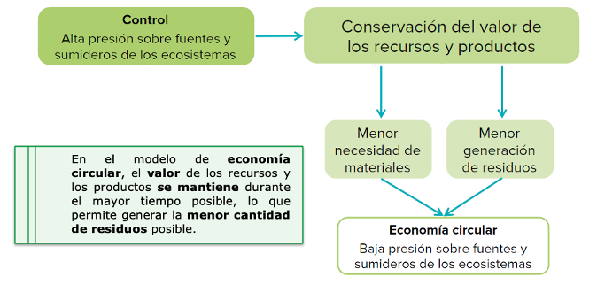 <p><strong><mark data-color="green" style="background-color: green; color: inherit">Plantea fórmulas para conservar el valor del producto en todas las fases del proceso.</mark></strong></p><p></p>