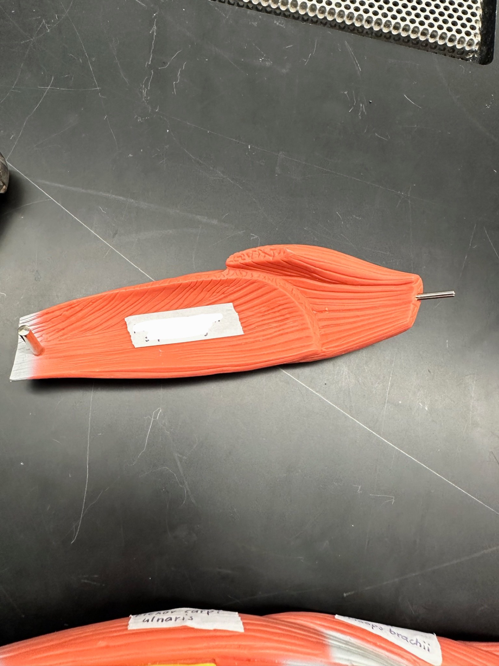 <p>ID muscle</p>