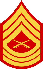 <p>Master Sergeant</p>