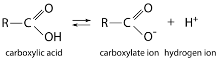 <ul><li><p>Weakly ionic</p></li><li><p>Acidic</p></li><li><p>Soluble</p></li></ul>
