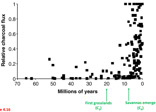 <p>What can we infer happened around 7 mya Fig 4.16? </p>