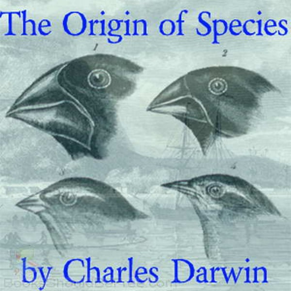 <p>A well tested explanation using an integrated set of principles that organizes observations and predicts behaviors or events.</p>