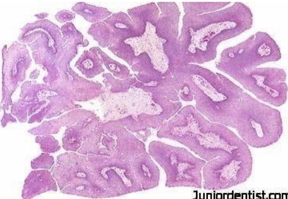 <p>A- identify</p><p>B- describe</p><p>C- originate from ?</p>