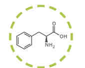 <p>What amino acid is this?</p>