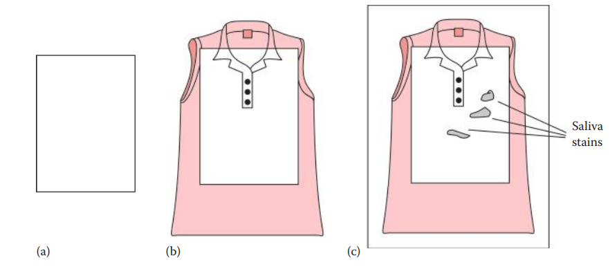 Amylase mapping for saliva stains. (a) Amylase substrate is sprayed on a sheet of filter paper. (b) Substrate-containing paper is placed over the area to be tested. 