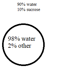 <p>A cell is placed in a solution as shown in the picture. The membrane is permeable to water but impermeable to sucrose.</p>