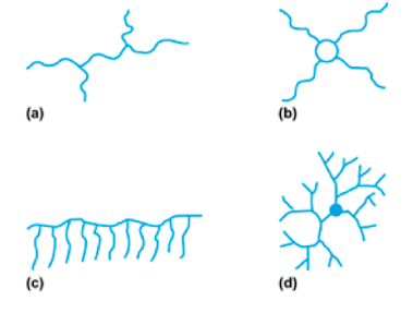 <p>Have side chains (lower crystallinity) </p>