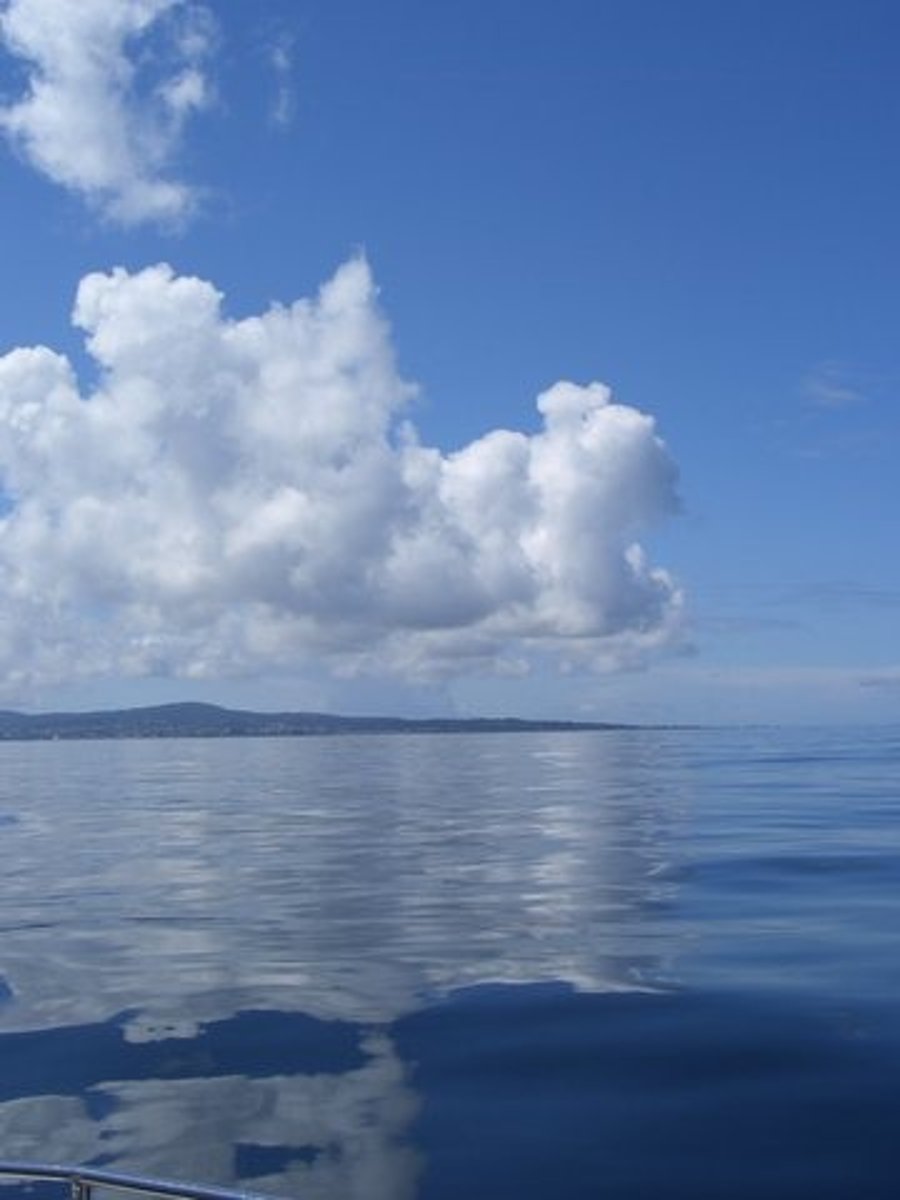 <p>vast realm of open blue water, constantly mixed by wind, oceanic currents, surface waters turnover, covers 70% of earth's surface</p>