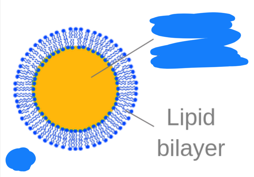 <p>Storage unit near the ER</p>
