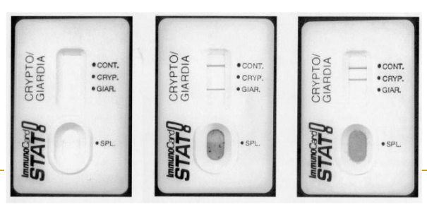 <p>used for cryptosporidium an giardia </p><ul><li><p><span>Lateral flow EIA test</span></p></li><li><p><span>Antibodies embedded in membrane</span></p></li><li><p><span>Performed on unconcentrated preserved feces</span></p></li></ul><p></p>
