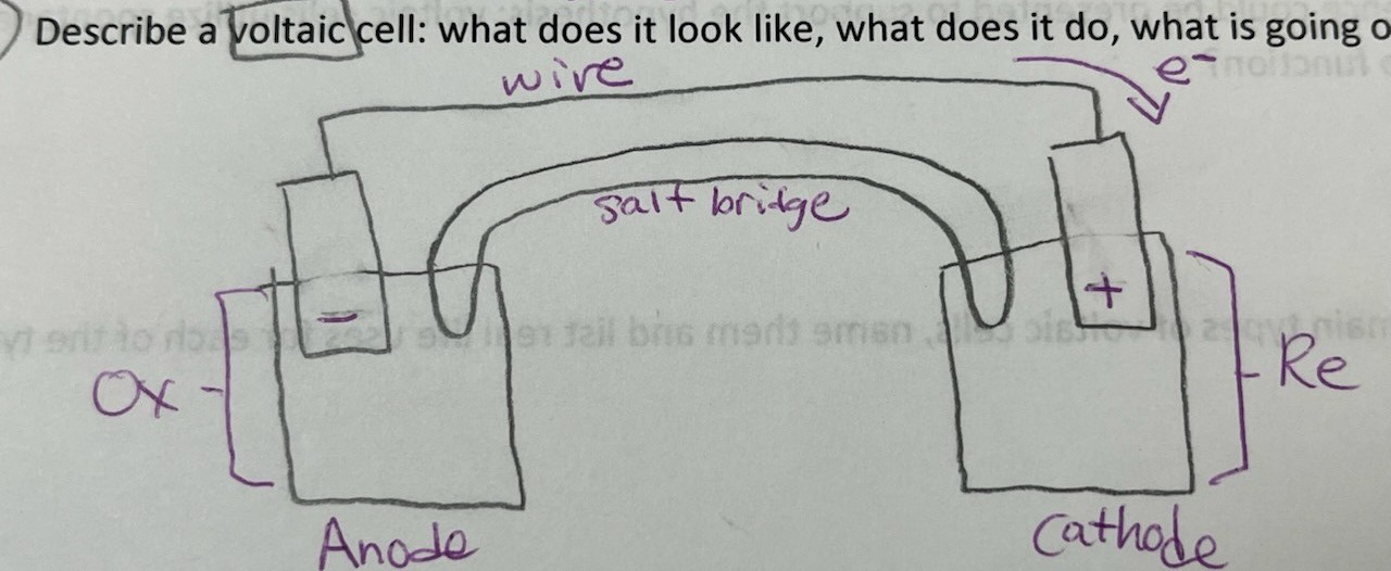 <p>wire, salt bridge, oxidation, reduction, <span>(e-) ----&gt; , anode (-), cathode (+)</span></p>