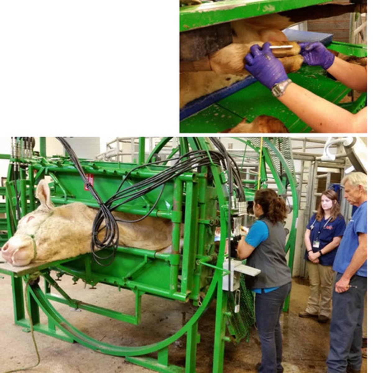 <p>What type of chute is this? Name some pros and cons</p>
