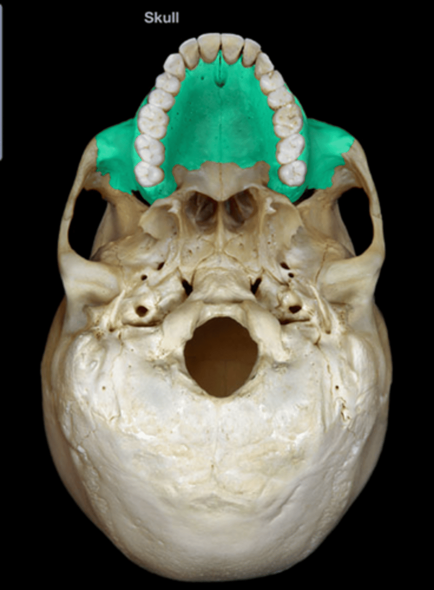 knowt flashcard image