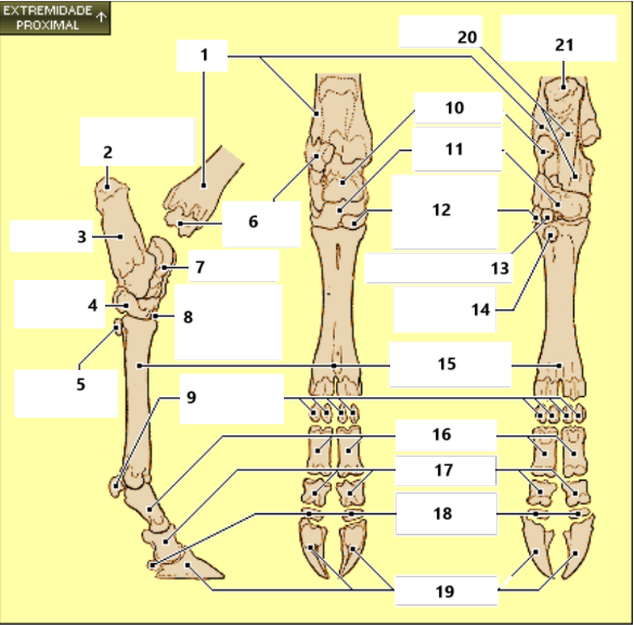 <p>19</p>