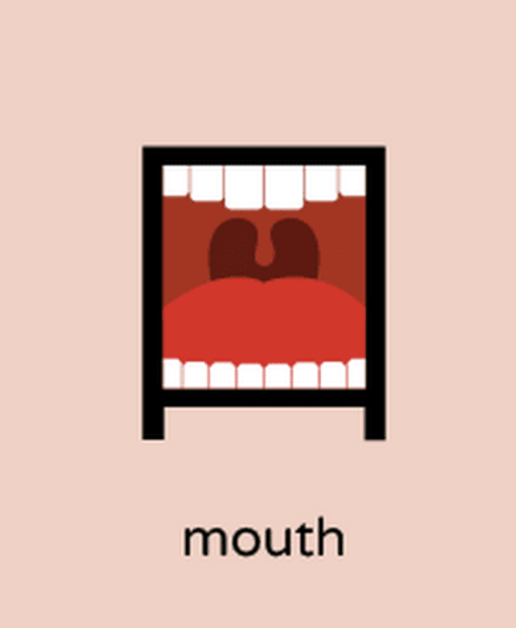 <p>Mouth</p>