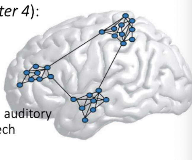 <ul><li><p><span><em><span>Local</span></em><span> ‘modules’ with many </span><em><span>short</span></em><span> connections</span></span></p></li><li><p><span><em><span>Small</span></em><span> number of very </span><em><span>long</span></em><span> connections</span></span></p></li></ul><p></p>