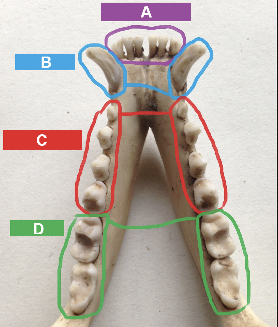 <p>Label the diagram. </p>