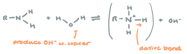 <p>Weak base in water, similar to ammonia</p><p>R-NH2 + H2O → R-N<sup>+</sup>H3 + OH-</p>