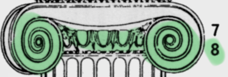 <p>Kapitell mit (Eck-)Voluten und Eierstab</p>