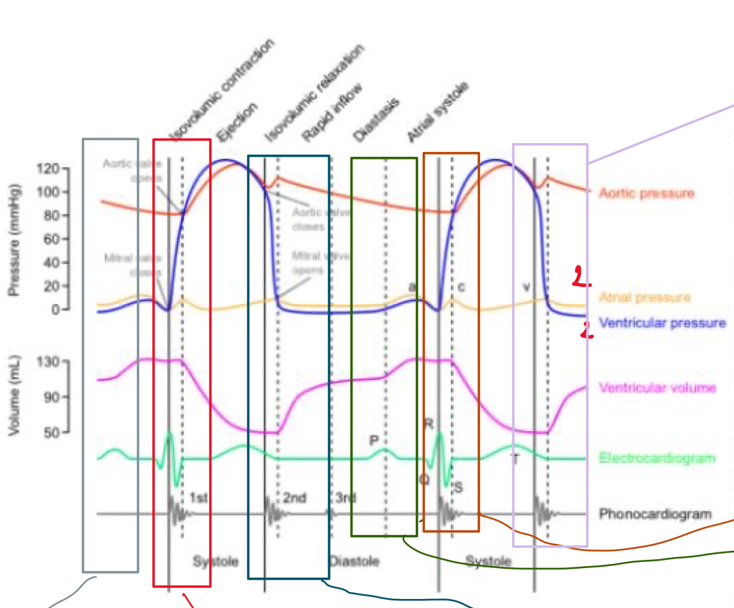<p>Describe what’s happening in the 6 boxes - grey, red, blue,green,orange, purple</p>