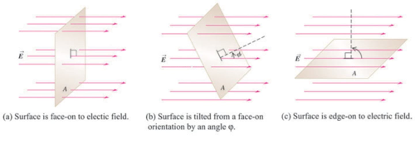 <p>The electric flux is the zero through the surface shown in (c).</p>