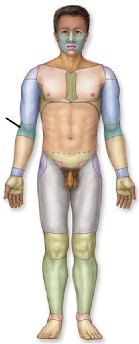 knowt flashcard image