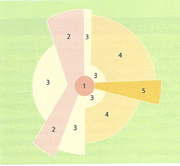 <p>Hoyt 5 zones.</p>