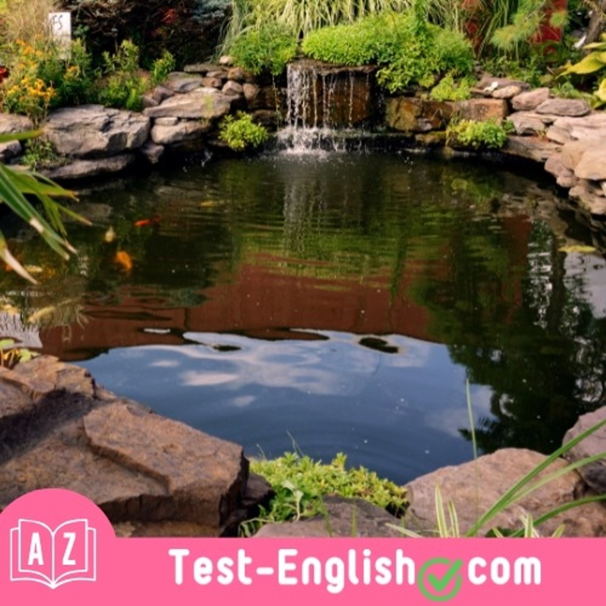 <p>There is a nice little _____ in the park, with ducks and fish.</p>
