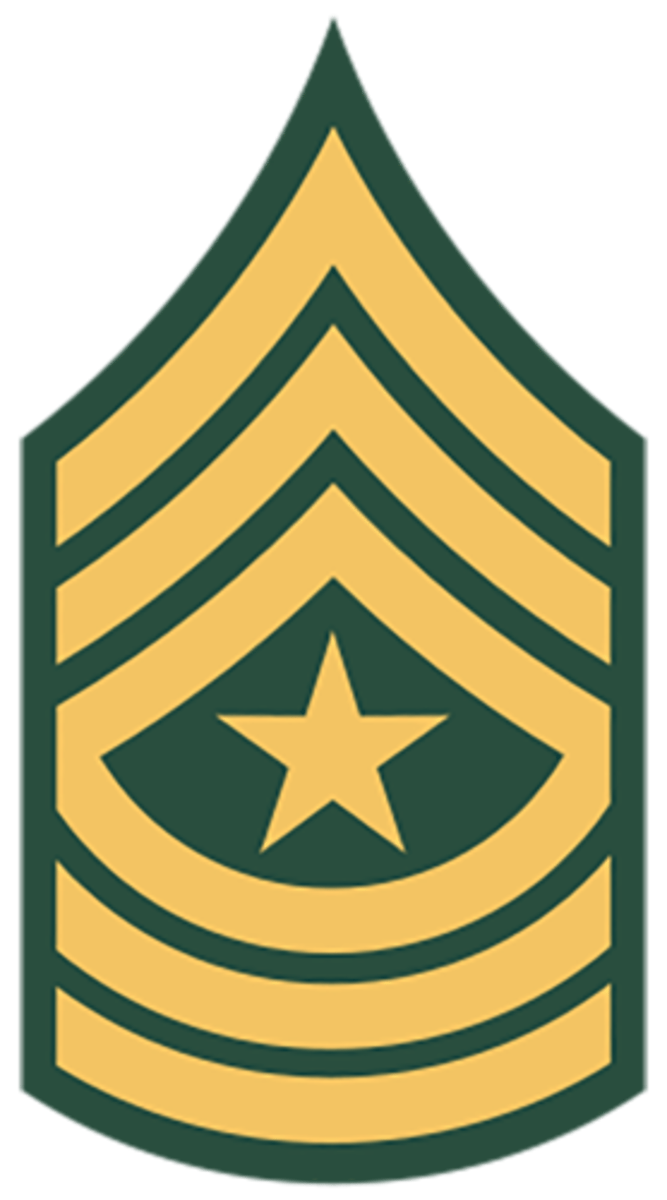 <p>Army: E-9</p>