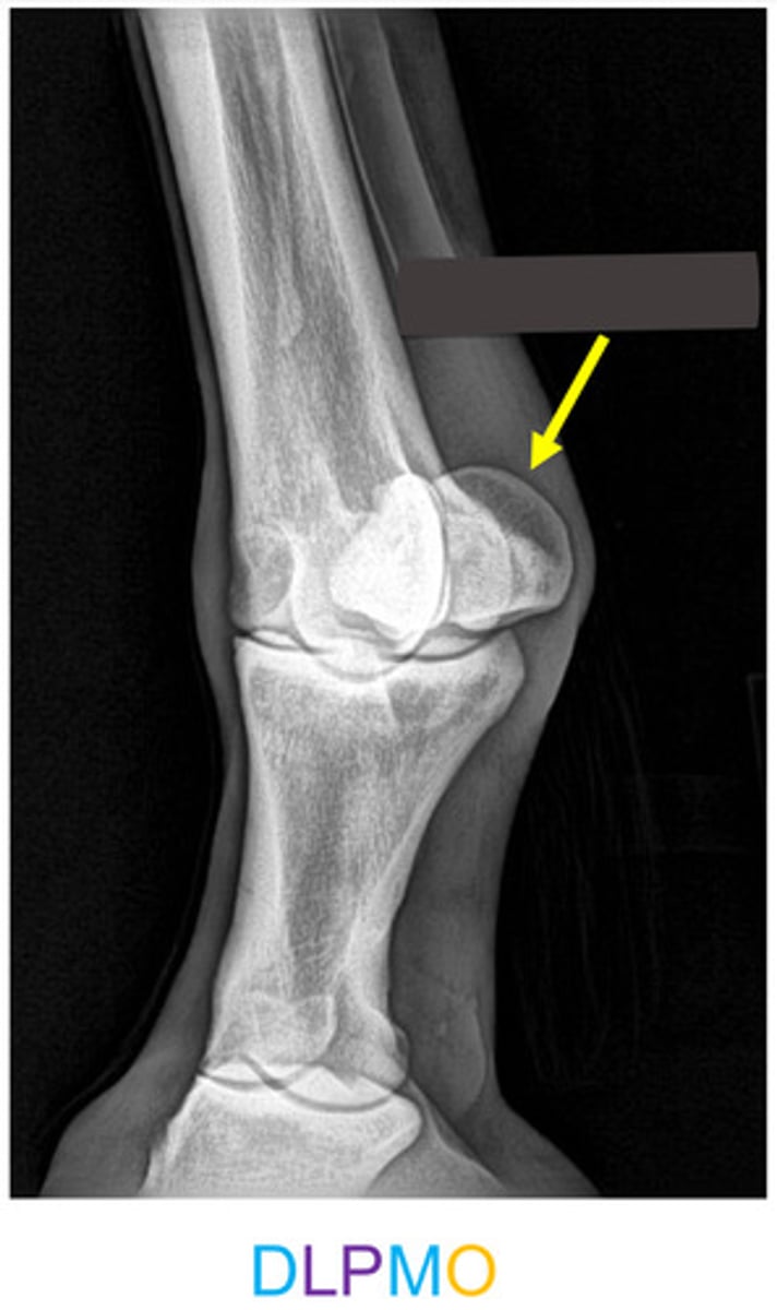 <p>What is the arrow pointing to?</p>
