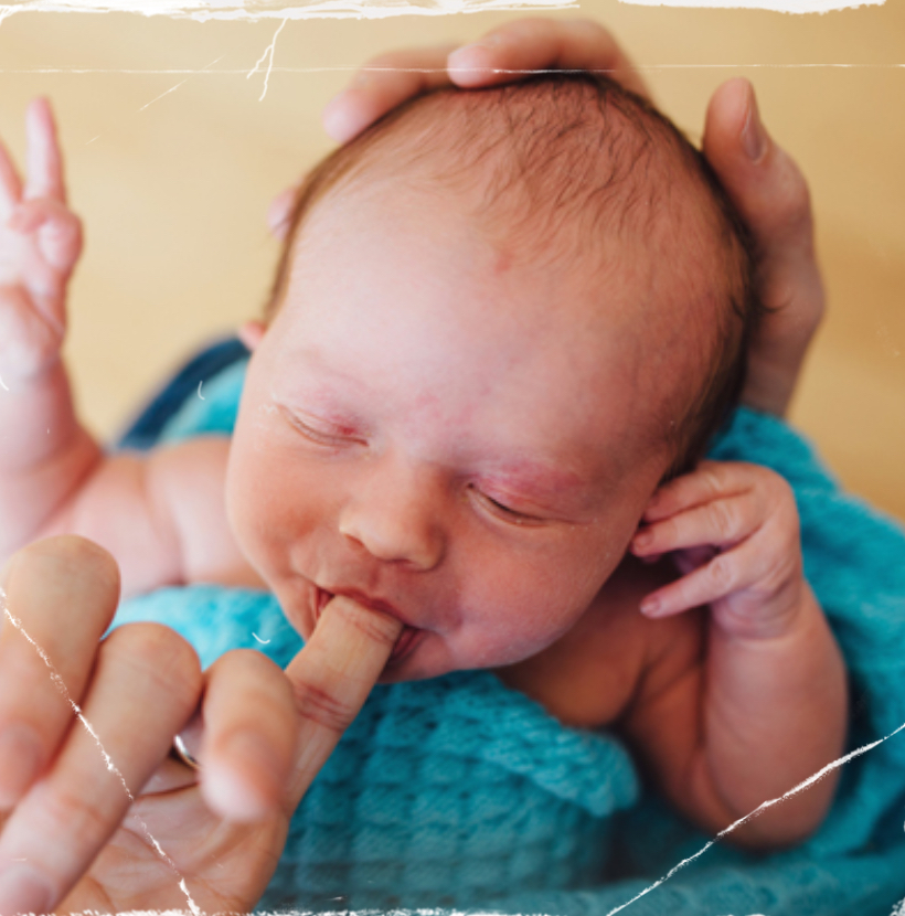 <p><strong>Neonatal Infant Reflex: </strong>Suck-swallow (Integration: ~2-5 mo)</p>