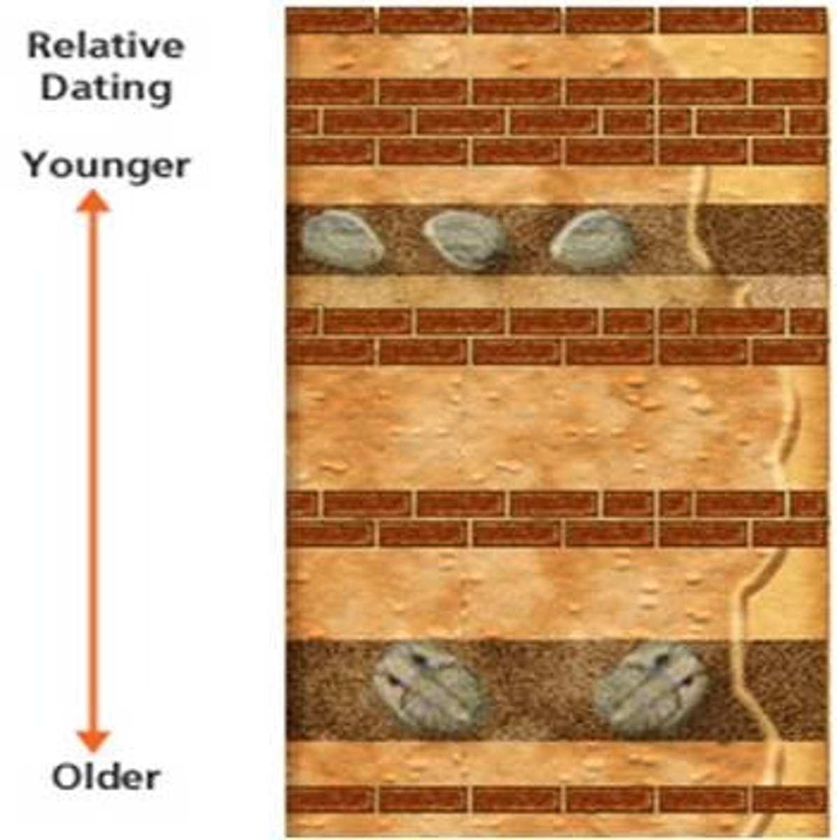 <p>the age of a rock compared to the ages of rock layers</p>