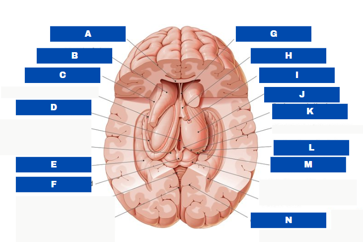 <p>WHAT IS J?</p>