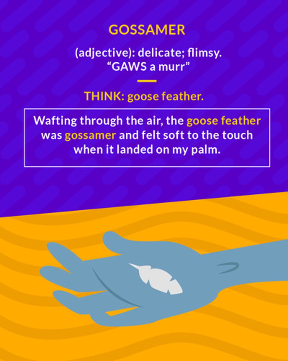 <p>(adj.) thin, light, delicate, insubstantial; (n.) a very thin, light cloth</p><p>(adj.) delicate; flimsy</p>