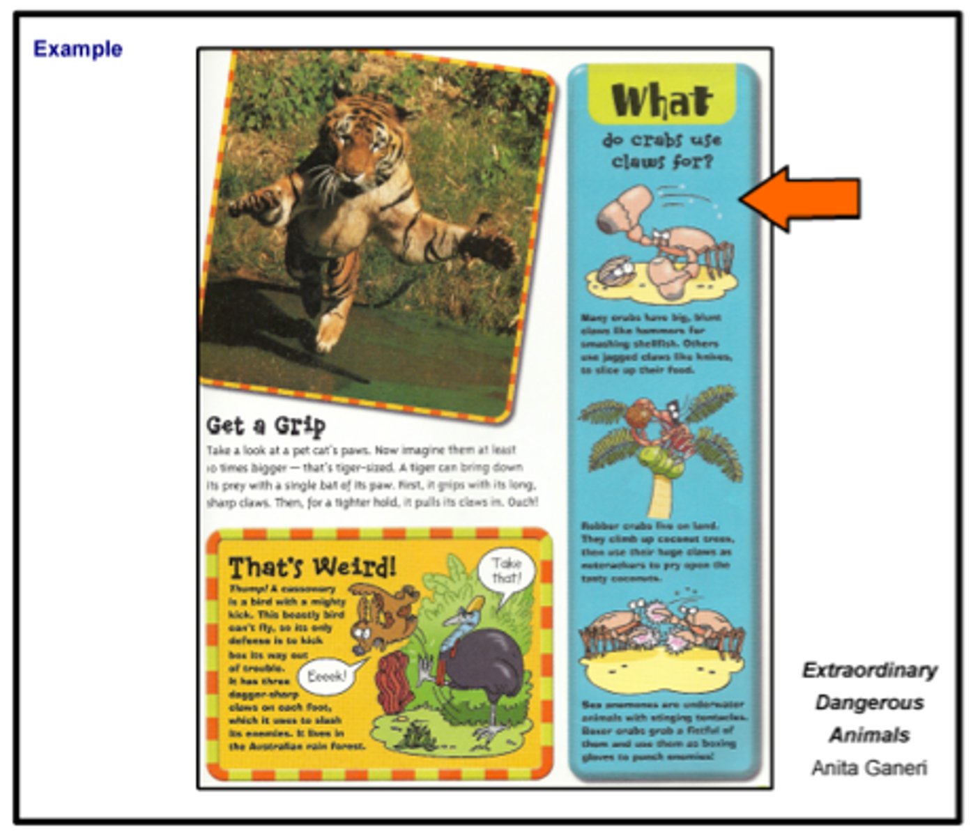 <p>More information found on the side or bottom of a website.</p>
