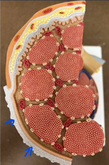 <p>What is this?</p>