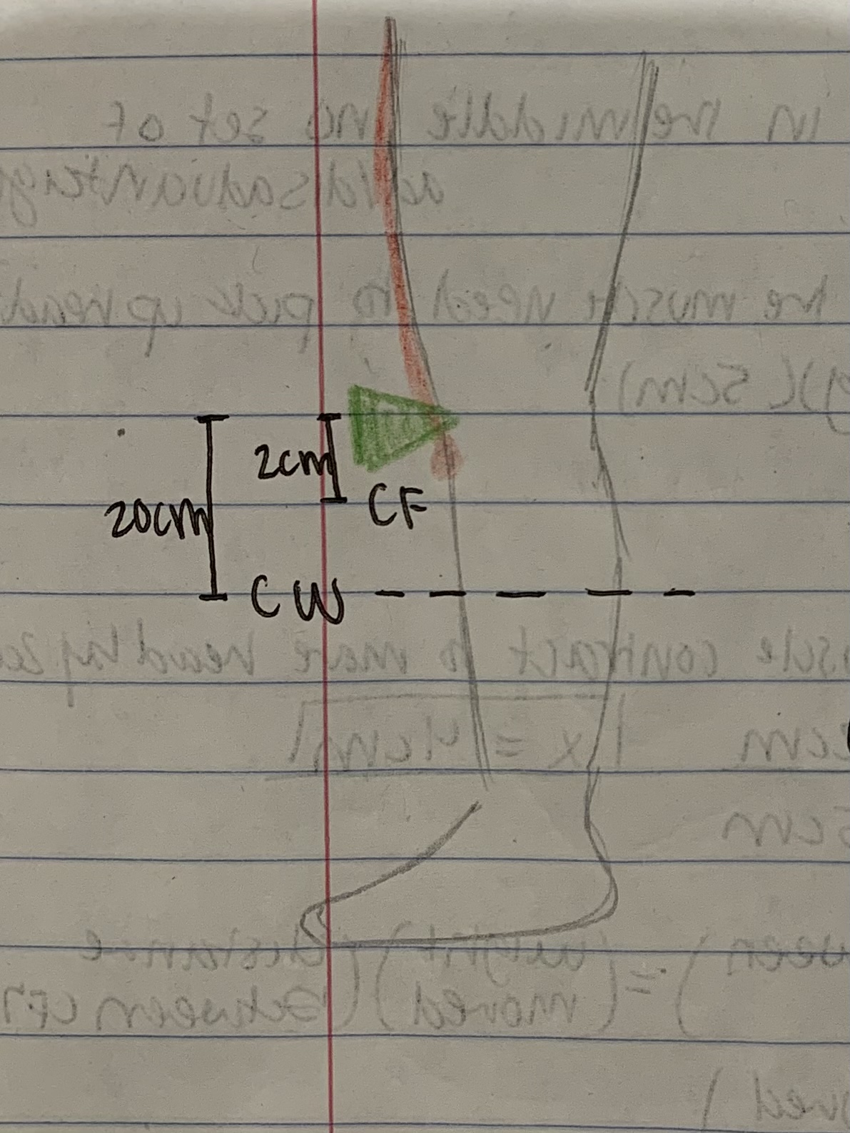 <p>Center force is in the middle, force disadvantage, distance advantage</p>