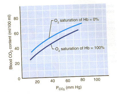 <p>true, increasing PO<sub>2</sub> facilitates release of CO<sub>2</sub> from Hb, while decreasing PO<sub>2</sub> allows Hb to take up more CO<sub>2</sub> + H<sup>+</sup> <strong>(Haldane effect)</strong></p>