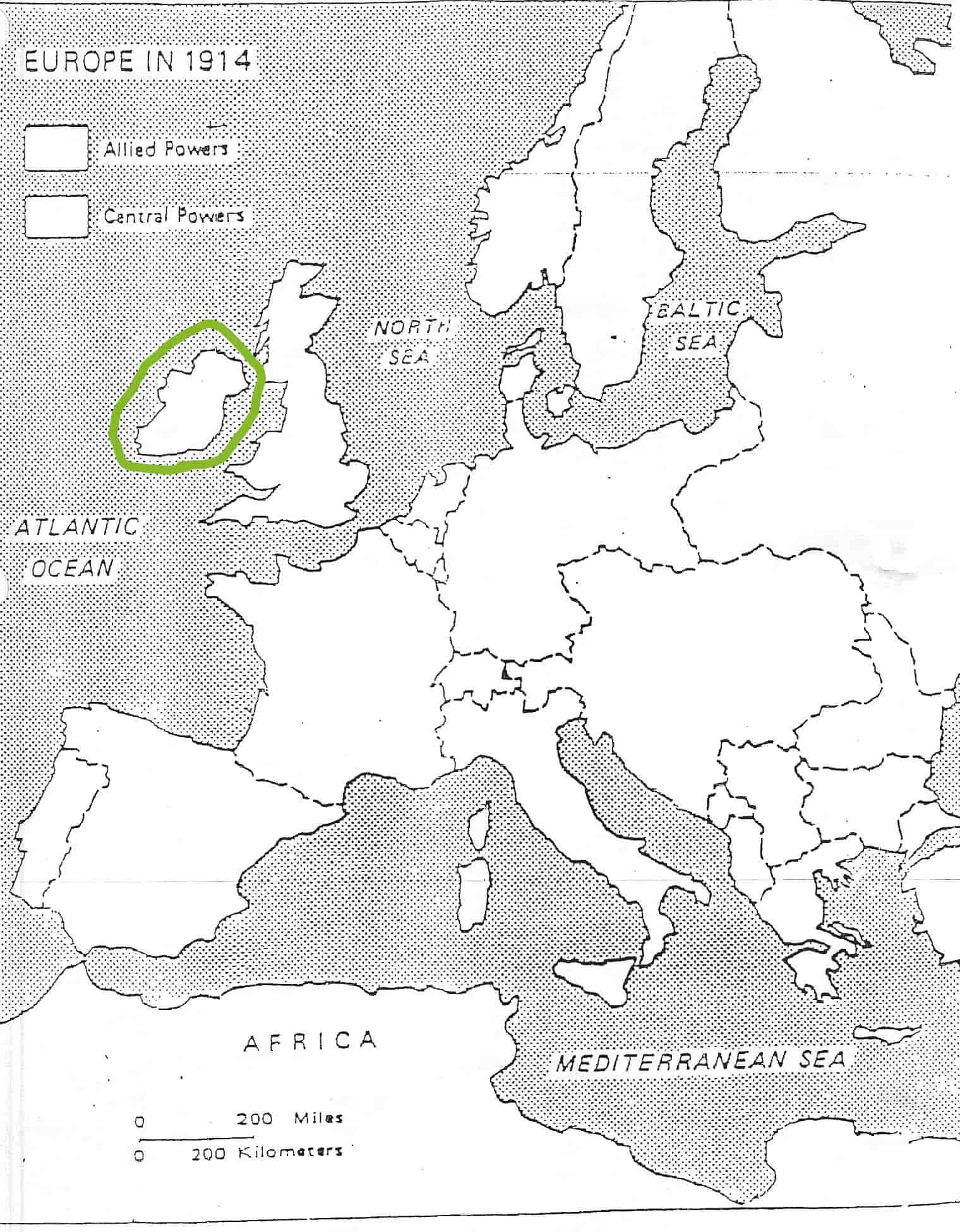 term image