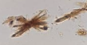 <p>What is this?</p>