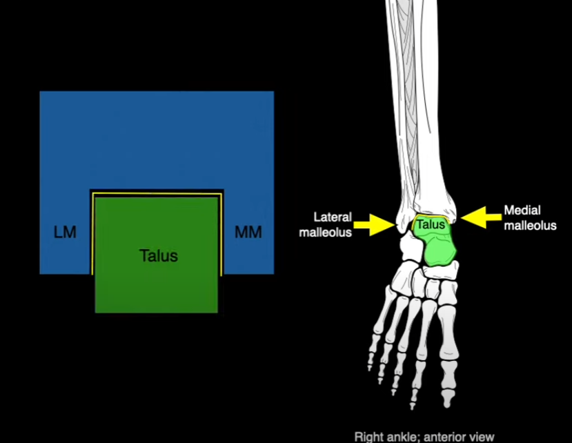<p>What joint is this?</p>