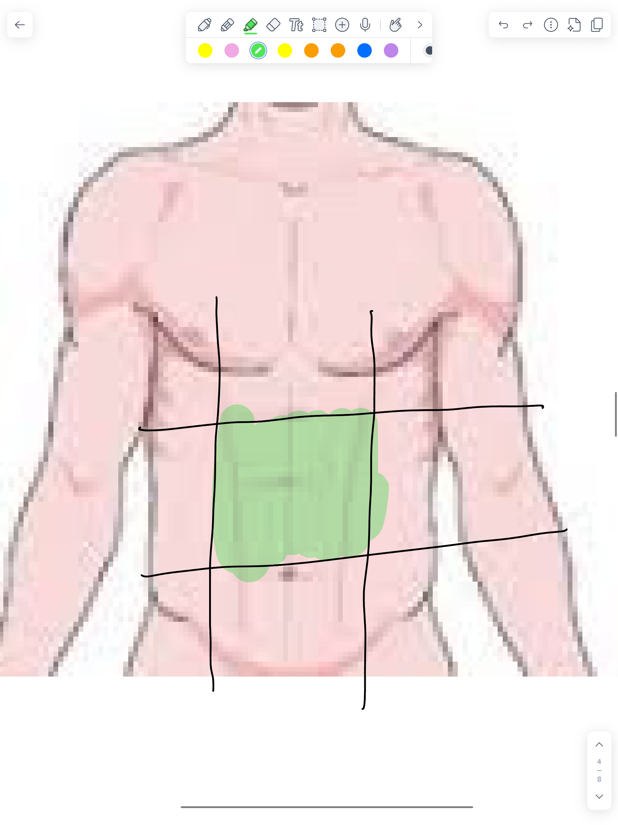 term image