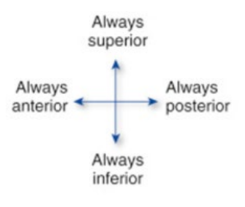 <p>Always Inferior</p>