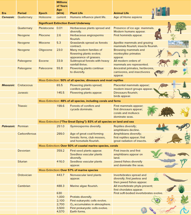 The Geological Timescale: Major Divisions of Geological Time and Some of the Major Evolutionary Events of EachTime Period.