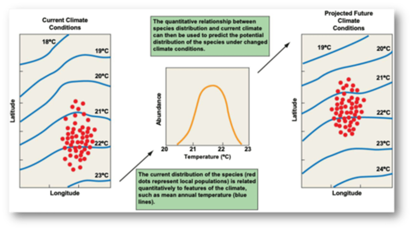<p>based on relating features of climate to geographic patterns of species occurrence</p><p>-----------------</p><p>FEATURES:</p><p>- is one of the most widely applied modeling approaches to investigate the response of an individual species to climate change</p>