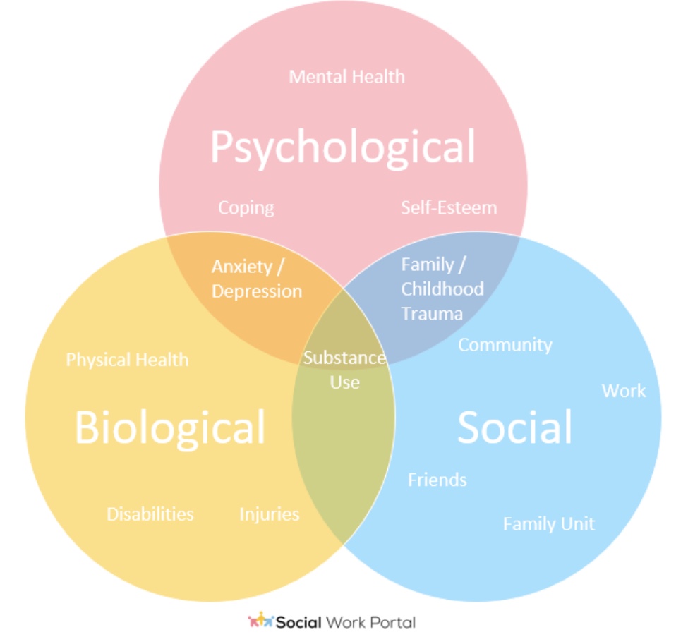<p>health and illness are determined by a dynamic interaction between biological, psychological, and social factors</p>