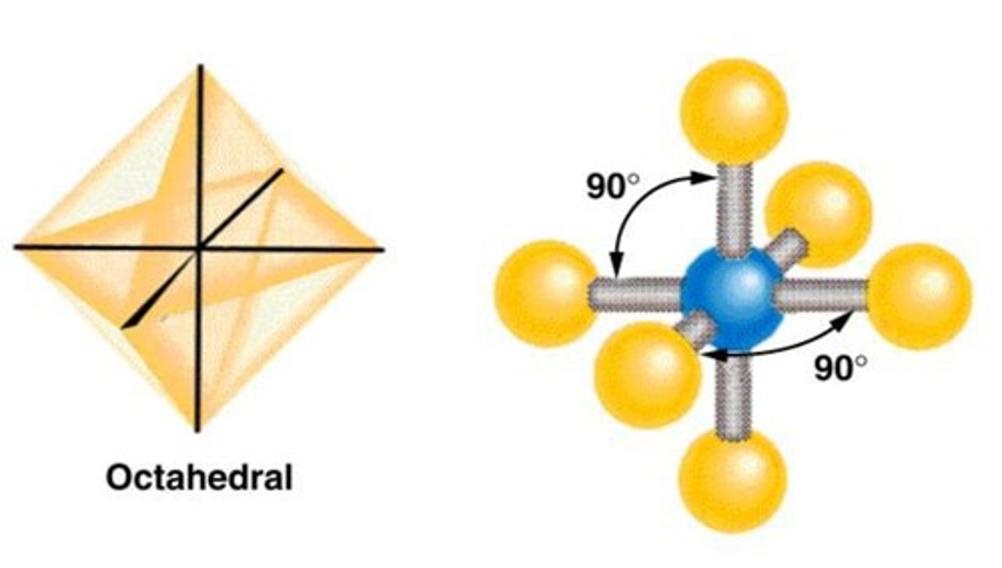 <p>Six electron domains arranged around a central atom.</p>