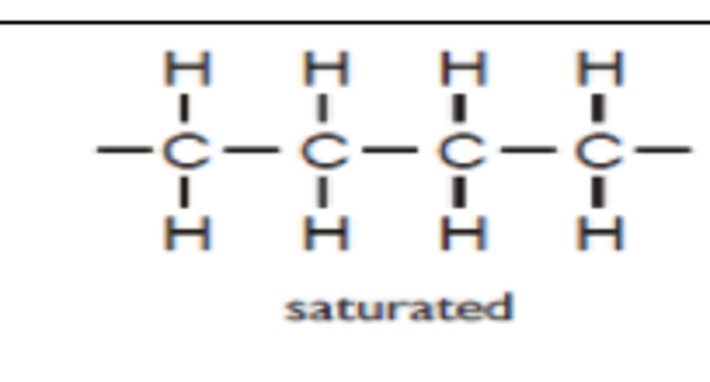 <p>it doesnt contain any double bond</p>